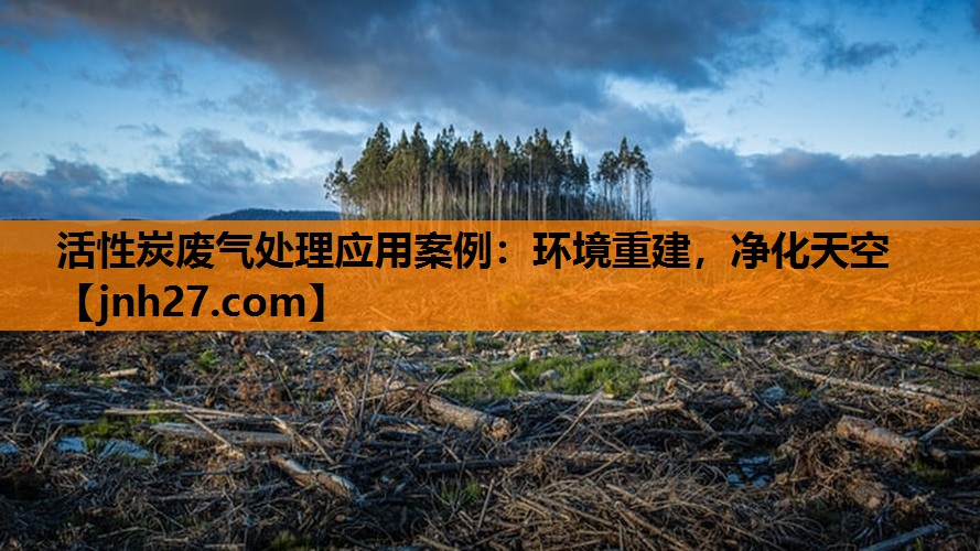 活性炭废气处理应用案例：环境重建，净化天空